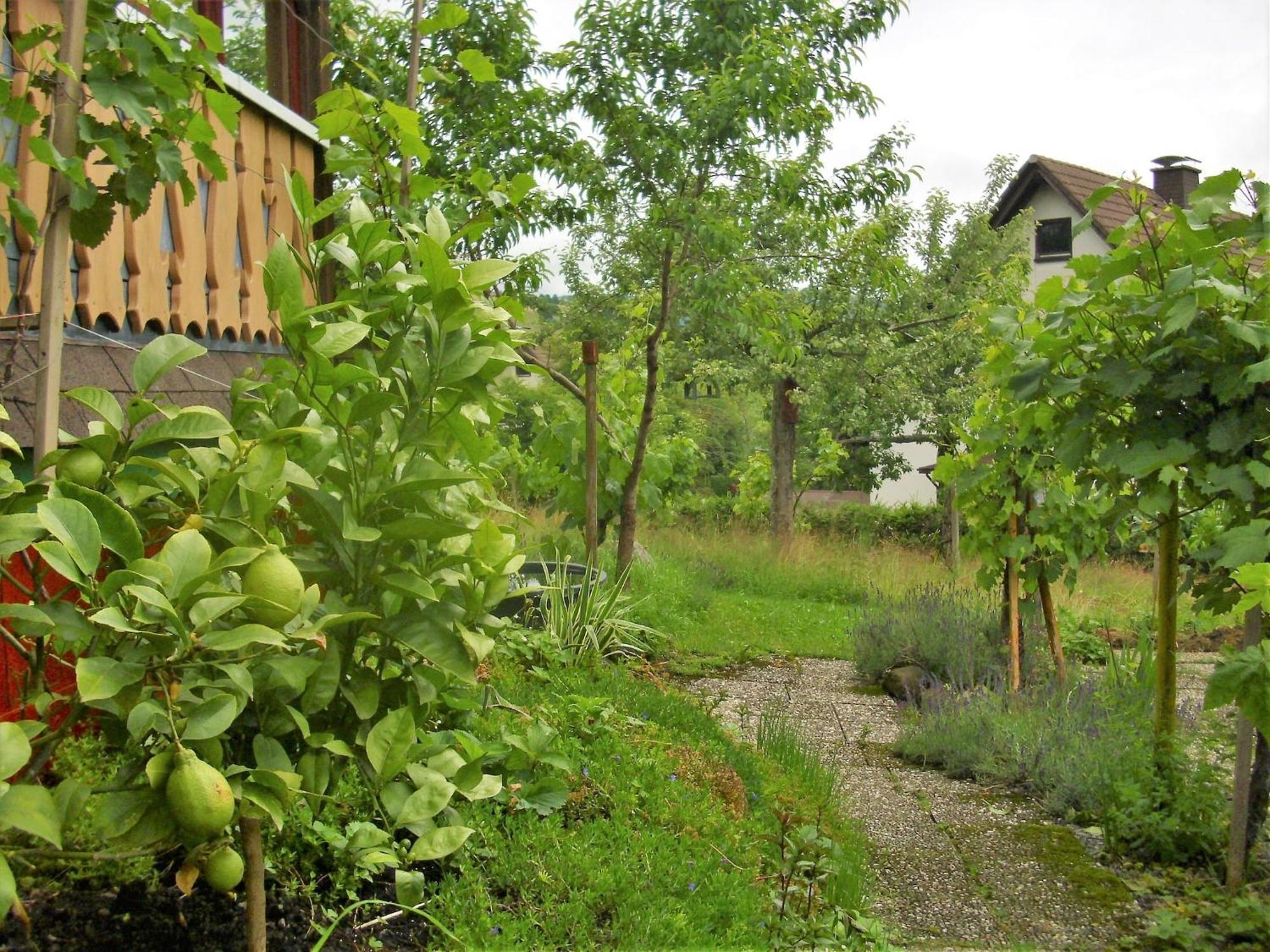 Beautiful Apartment In A Black Forest House With Conservatory Bernau im Schwarzwald Esterno foto