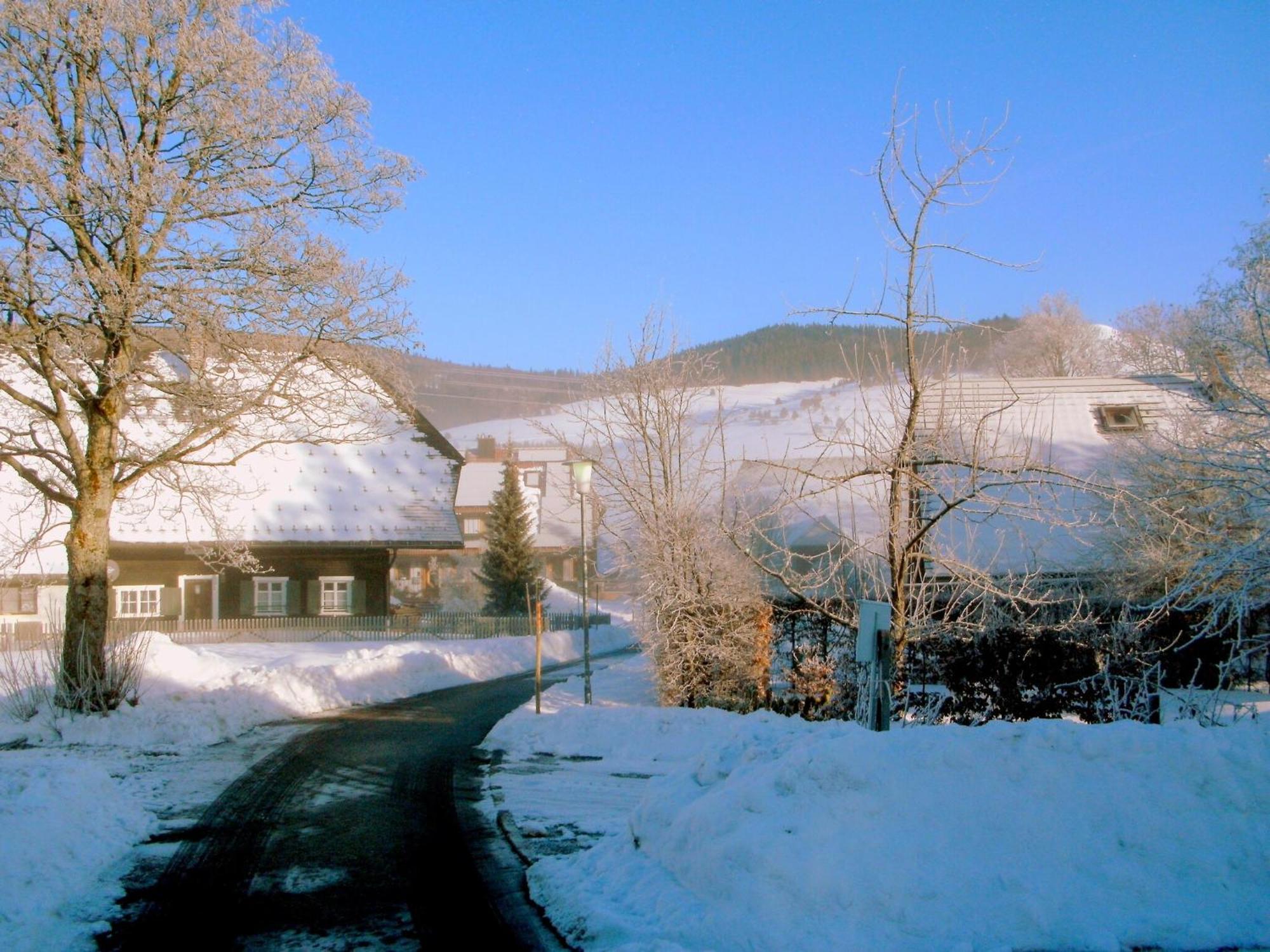 Beautiful Apartment In A Black Forest House With Conservatory Bernau im Schwarzwald Esterno foto